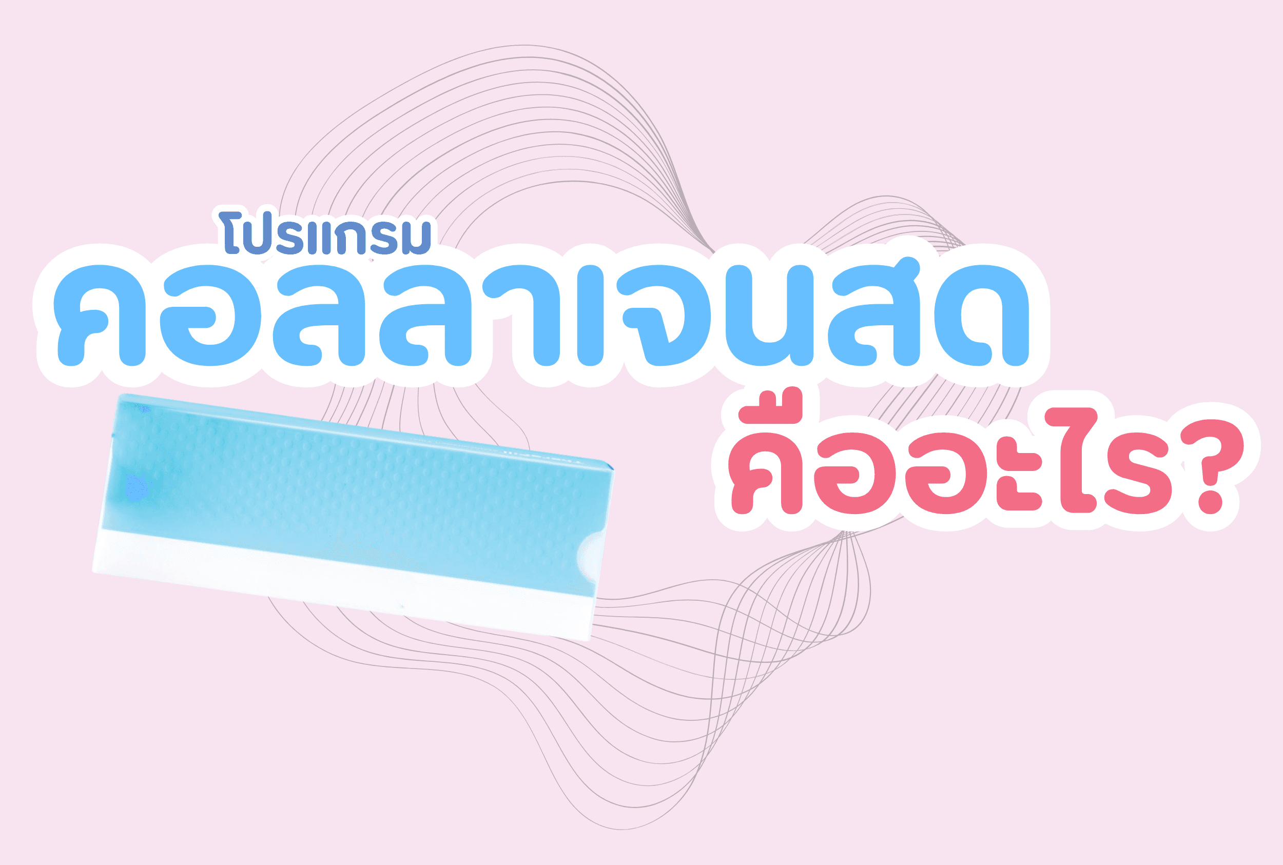 โปรแกรมคอลลาเจนสด